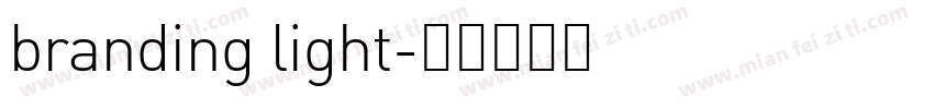 branding light字体转换